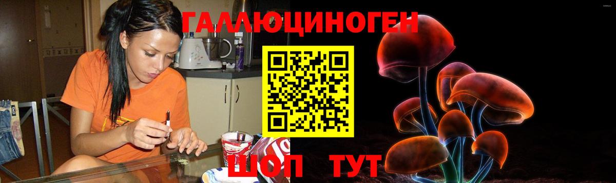 Миасс  Псилоцибиновые грибы мухоморы  Вход с VPN 
